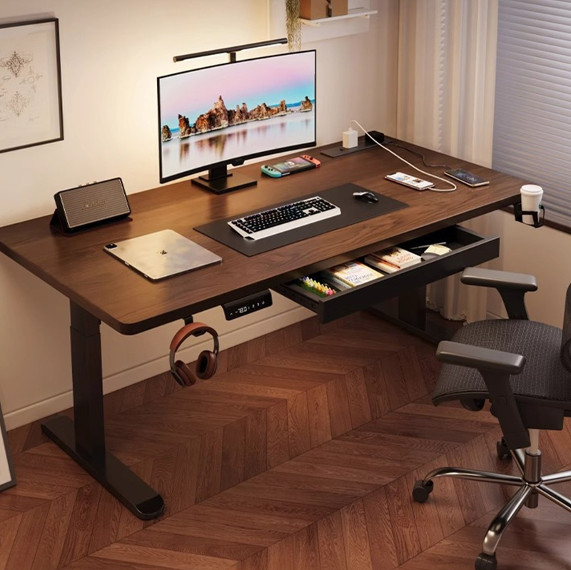 Modern Iron Dual Motor Electri - Desk Setup For Office ulasan dan harga